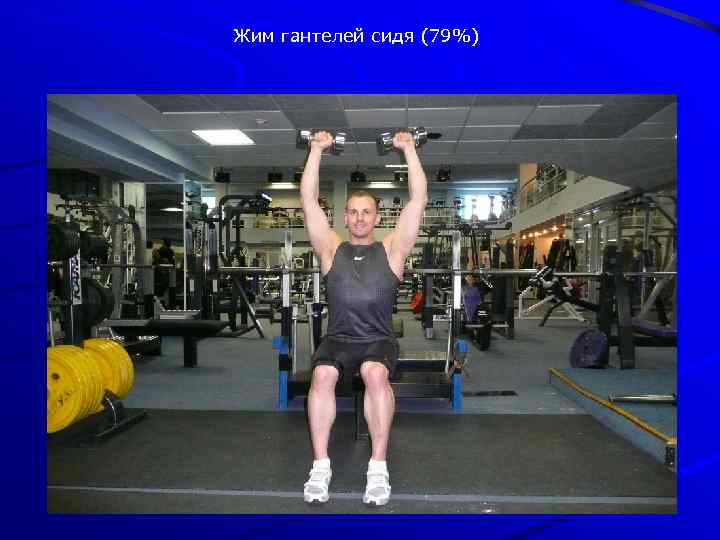 Жим гантелей сидя (79%) 