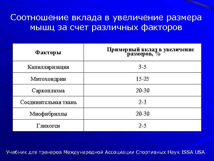 Соотношение вклада в увеличение размера мышц за счет различных факторов Факторы Примерный вклад в