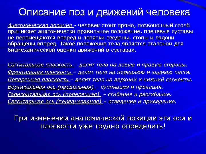 Описание поз и движений человека Анатомическая позиция - человек стоит прямо, позвоночный столб принимает
