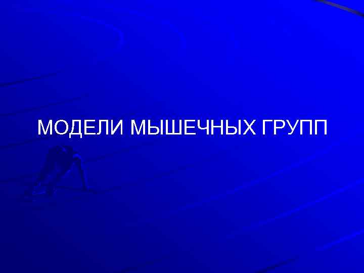 МОДЕЛИ МЫШЕЧНЫХ ГРУПП 