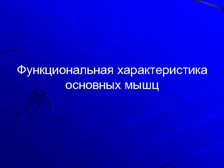 Функциональная характеристика основных мышц 