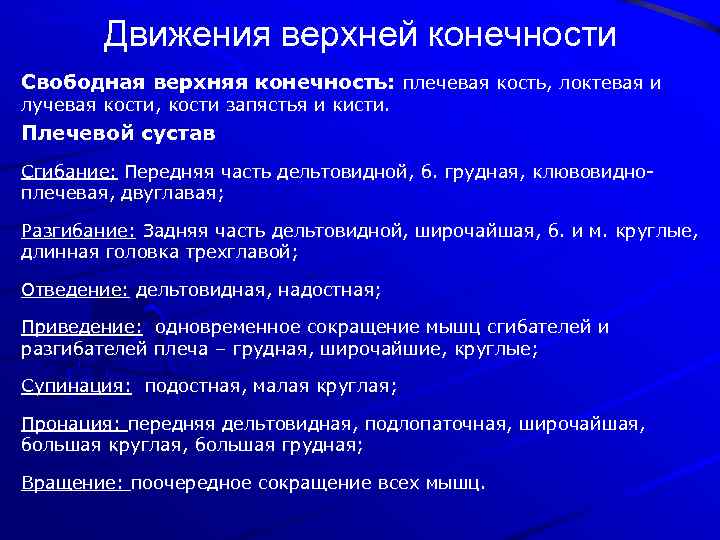 Движения верхней конечности Свободная верхняя конечность: плечевая кость, локтевая и лучевая кости, кости запястья