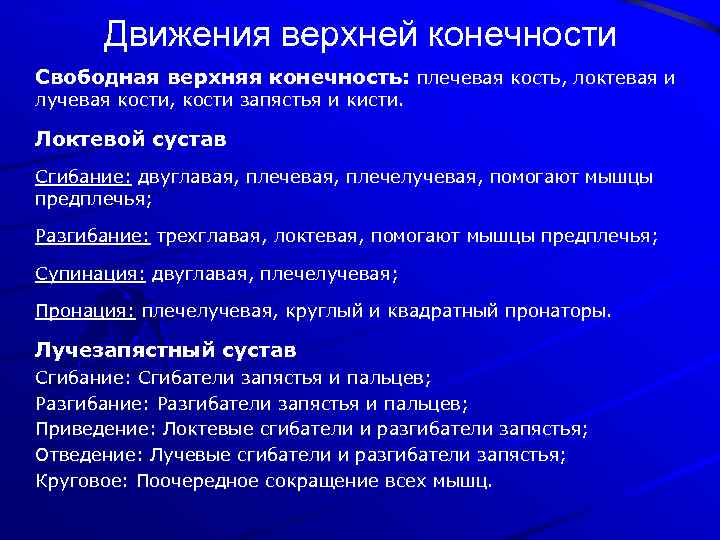 Движения верхней конечности Свободная верхняя конечность: плечевая кость, локтевая и лучевая кости, кости запястья