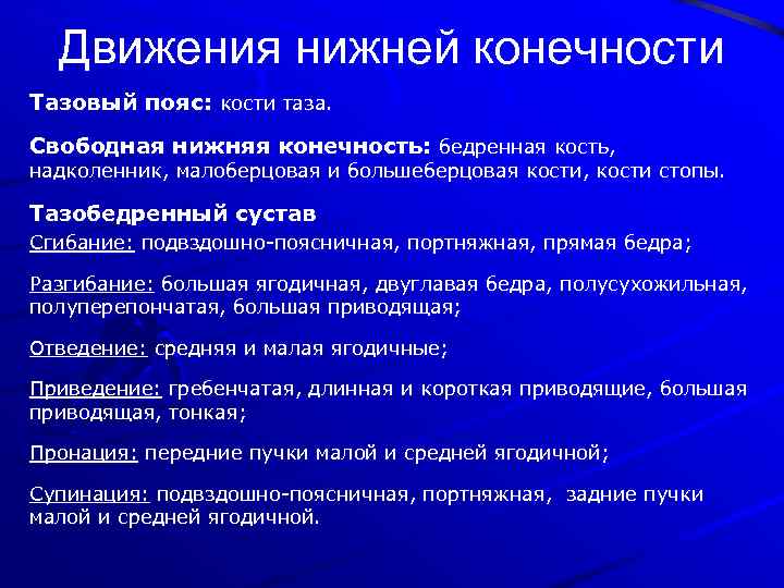 Движения нижней конечности Тазовый пояс: кости таза. Свободная нижняя конечность: бедренная кость, надколенник, малоберцовая