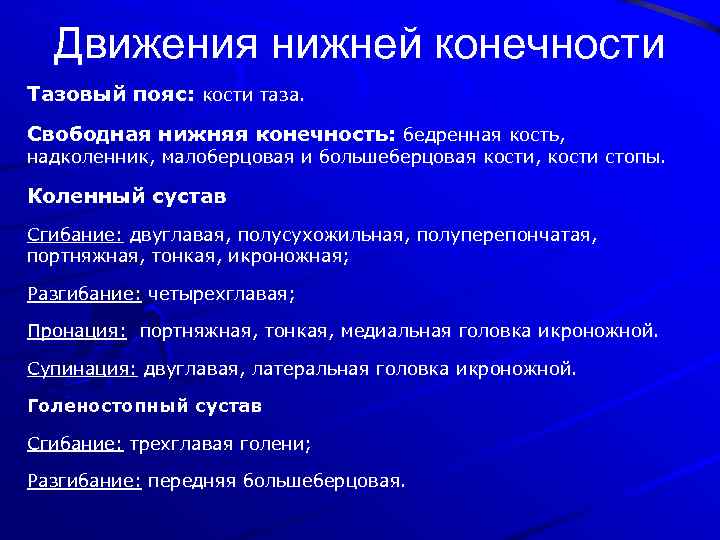 Движения нижней конечности Тазовый пояс: кости таза. Свободная нижняя конечность: бедренная кость, надколенник, малоберцовая