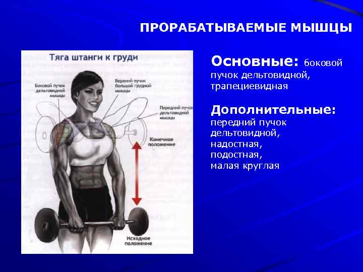ПРОРАБАТЫВАЕМЫЕ МЫШЦЫ Основные: боковой пучок дельтовидной, трапециевидная Дополнительные: передний пучок дельтовидной, надостная, подостная, малая