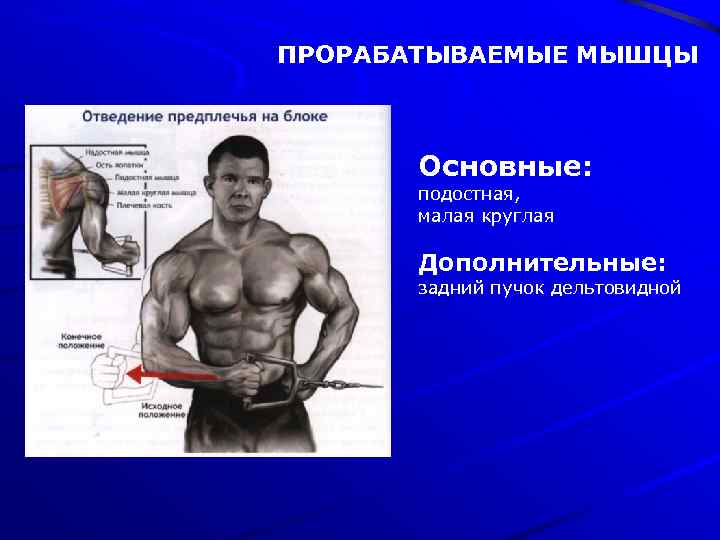ПРОРАБАТЫВАЕМЫЕ МЫШЦЫ Основные: подостная, малая круглая Дополнительные: задний пучок дельтовидной 