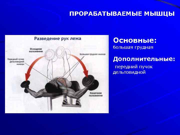ПРОРАБАТЫВАЕМЫЕ МЫШЦЫ Основные: большая грудная Дополнительные: передний пучок дельтовидной 