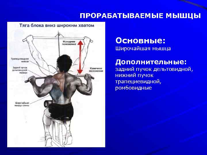 ПРОРАБАТЫВАЕМЫЕ МЫШЦЫ Основные: Широчайшая мышца Дополнительные: задний пучок дельтовидной, нижний пучок трапециевидной, ромбовидные 