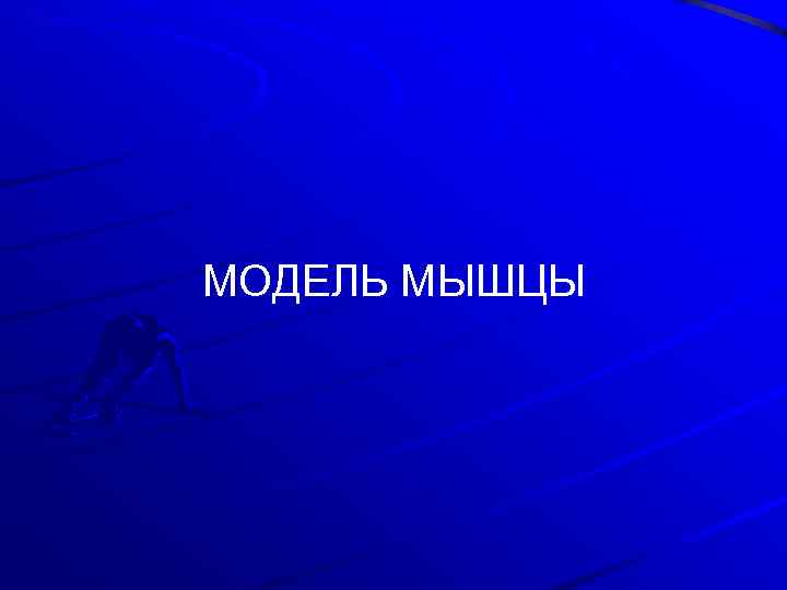 МОДЕЛЬ МЫШЦЫ 