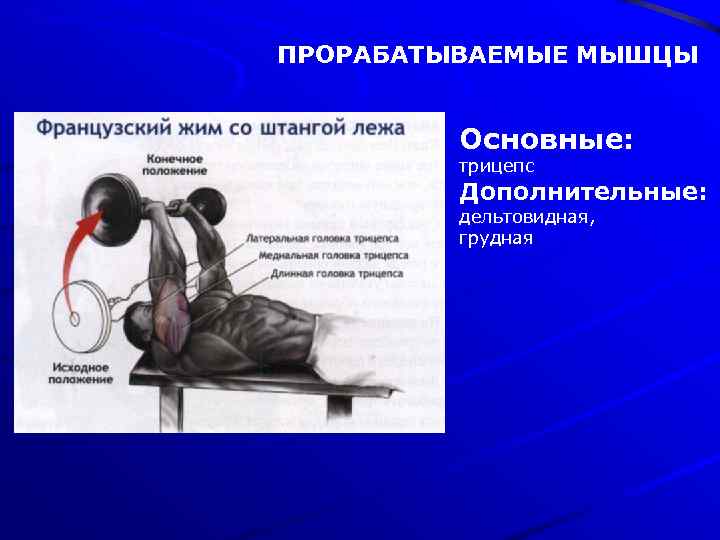ПРОРАБАТЫВАЕМЫЕ МЫШЦЫ Основные: трицепс Дополнительные: дельтовидная, грудная 