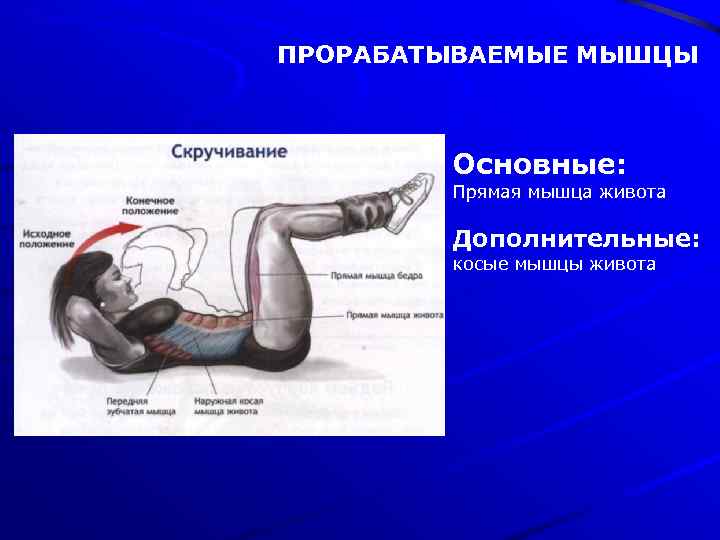 ПРОРАБАТЫВАЕМЫЕ МЫШЦЫ Основные: Прямая мышца живота Дополнительные: косые мышцы живота 
