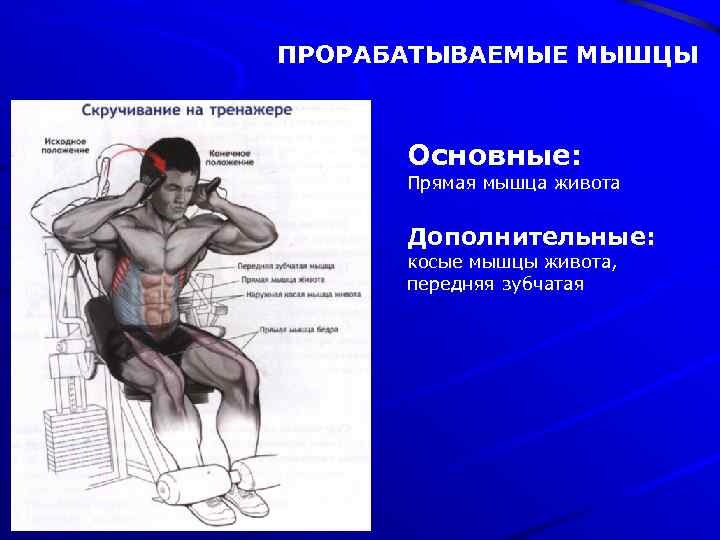 ПРОРАБАТЫВАЕМЫЕ МЫШЦЫ Основные: Прямая мышца живота Дополнительные: косые мышцы живота, передняя зубчатая 