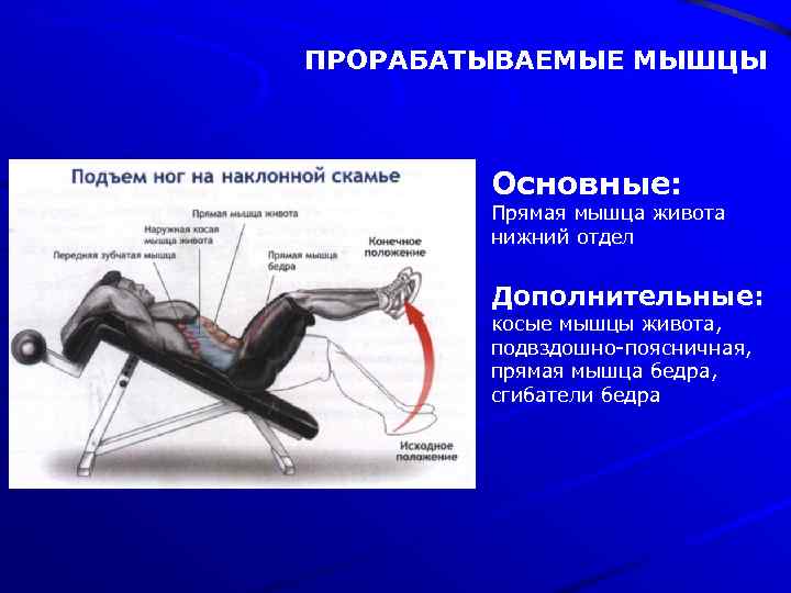 ПРОРАБАТЫВАЕМЫЕ МЫШЦЫ Основные: Прямая мышца живота нижний отдел Дополнительные: косые мышцы живота, подвздошно-поясничная, прямая