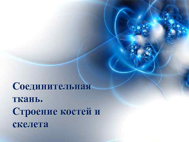 Соединительная ткань. Строение костей и скелета 
