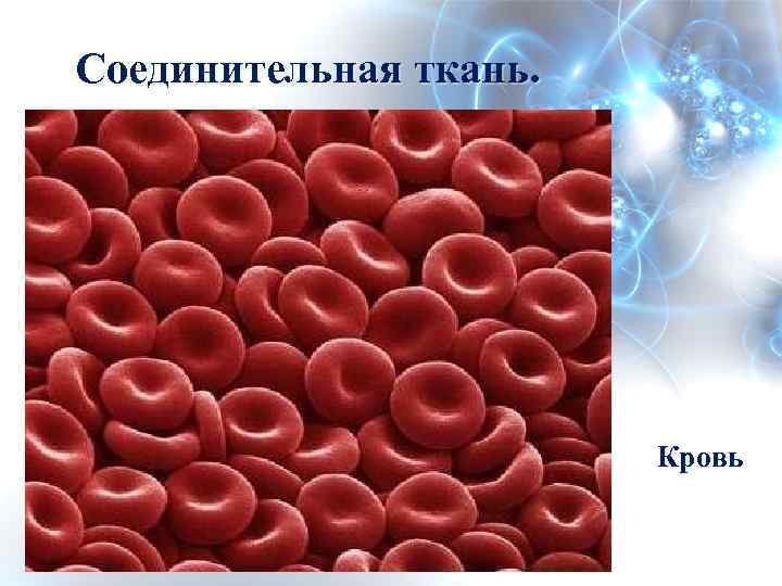 Кровь это жидкая ткань. Кровь и лимфа соединительная ткань. Кровяная соединительная ткань. Соединительная ткань кровь. Кровь жидкая соединительная ткань.