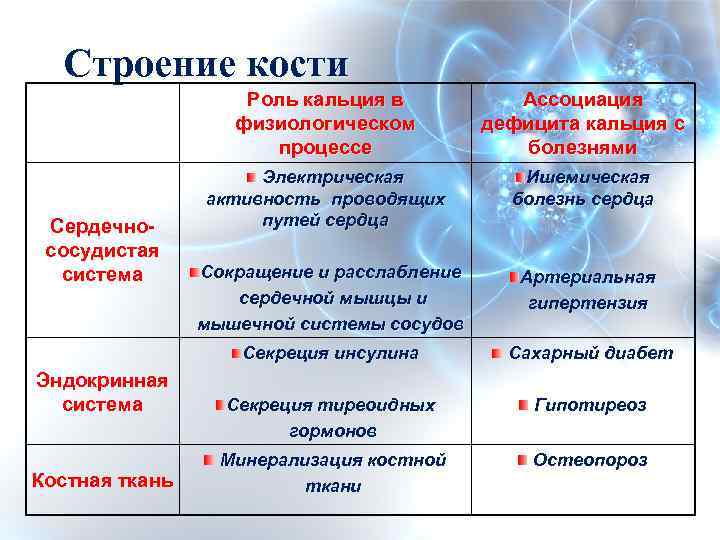 Строение кости Роль кальция в физиологическом процессе Эндокринная система Костная ткань Электрическая активность проводящих