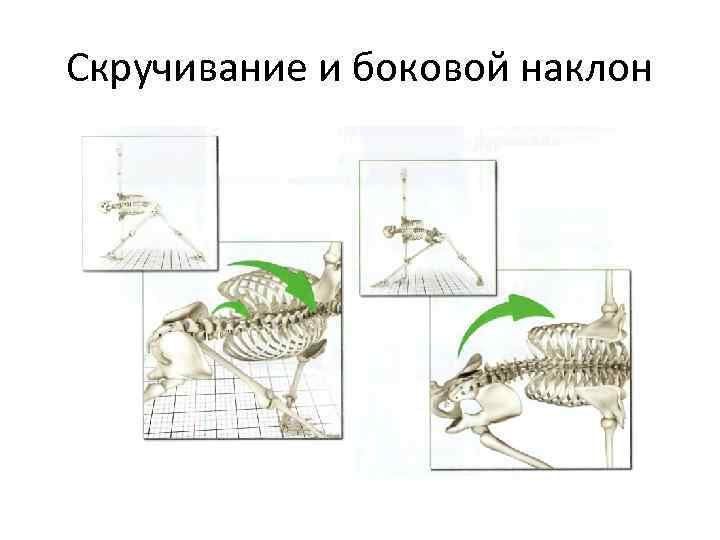 Скручивание и боковой наклон 