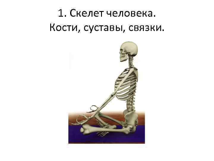 Внутренний скелет впервые. Суставы скелета человека. Скелет человека в шпагате. Скелет первого человека. Скелет скелета в шпагате.