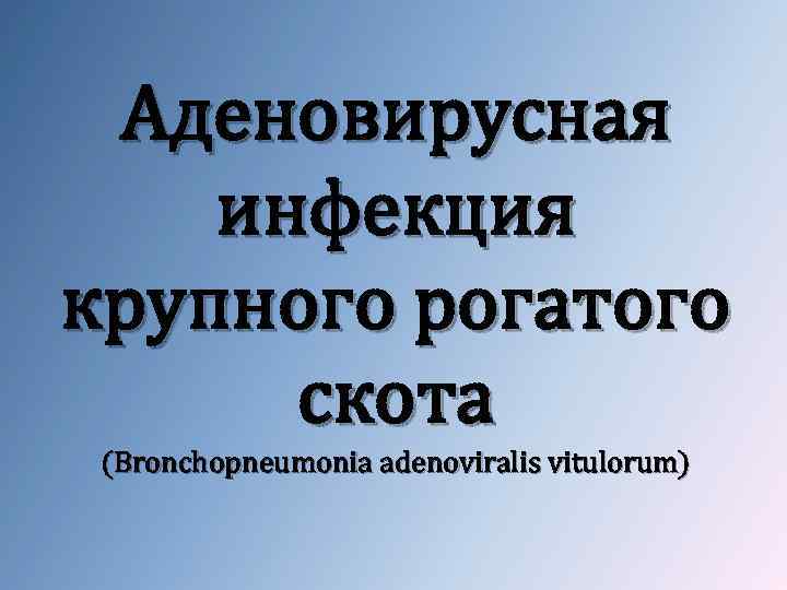 Аденовирусная инфекция крупного рогатого скота (Bronchopneumonia adenoviralis vitulorum) 