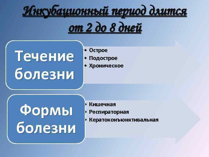 Инкубационный период длится от 2 до 8 дней Течение болезни • Острое • Подострое