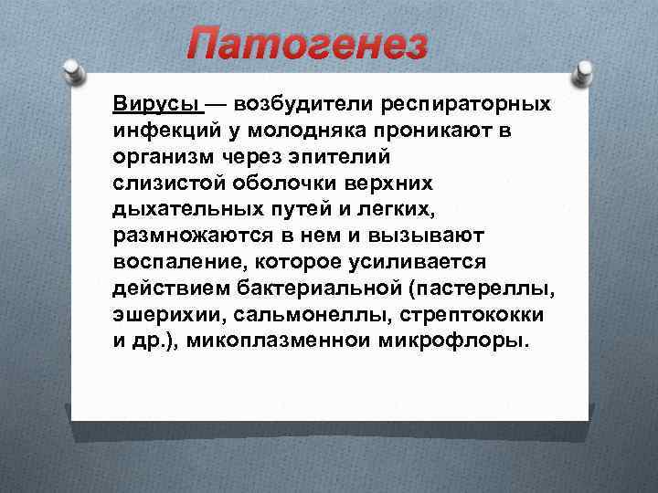 Патогенез Вирусы — возбудители респираторных инфекций у молодняка проникают в организм через эпителий слизистой