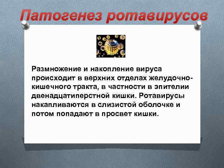 Патогенез ротавирусов Размножение и накопление вируса происходит в верхних отделах желудочнокишечного тракта, в частности