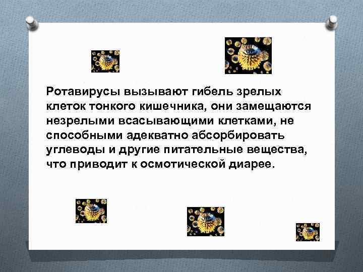 Ротавирусы вызывают гибель зрелых клеток тонкого кишечника, они замещаются незрелыми всасывающими клетками, не способными