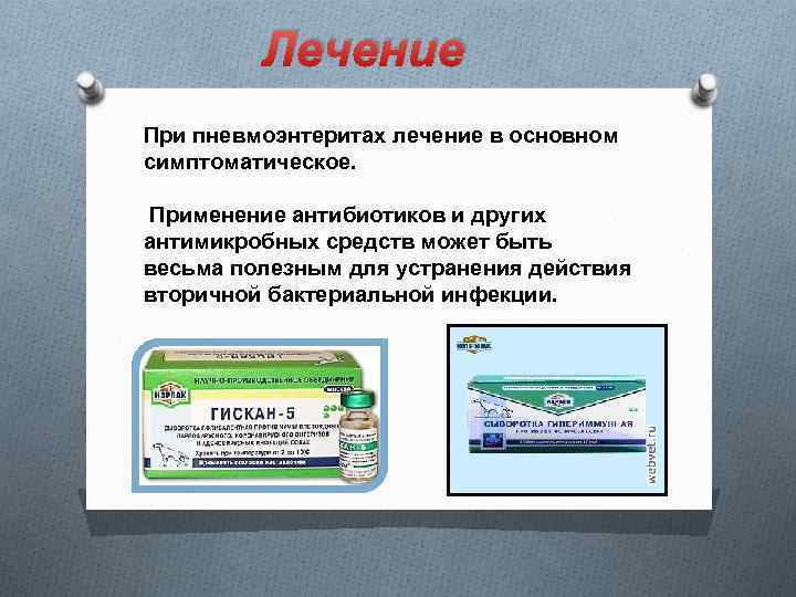 Лечение При пневмоэнтеритах лечение в основном симптоматическое. Применение антибиотиков и других антимикробных средств может