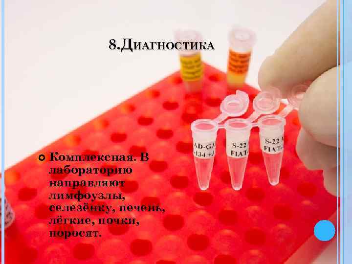 8. ДИАГНОСТИКА Комплексная. В лабораторию направляют лимфоузлы, селезёнку, печень, лёгкие, почки, поросят. 