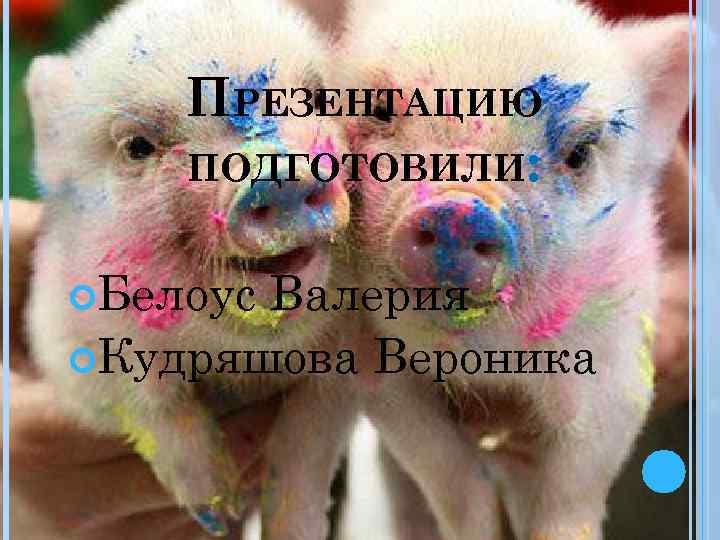 ПРЕЗЕНТАЦИЮ ПОДГОТОВИЛИ: Белоус Валерия Кудряшова Вероника 