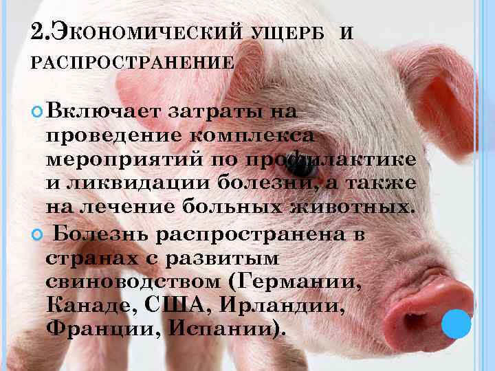 2. ЭКОНОМИЧЕСКИЙ УЩЕРБ И РАСПРОСТРАНЕНИЕ Включает затраты на проведение комплекса мероприятий по профилактике и