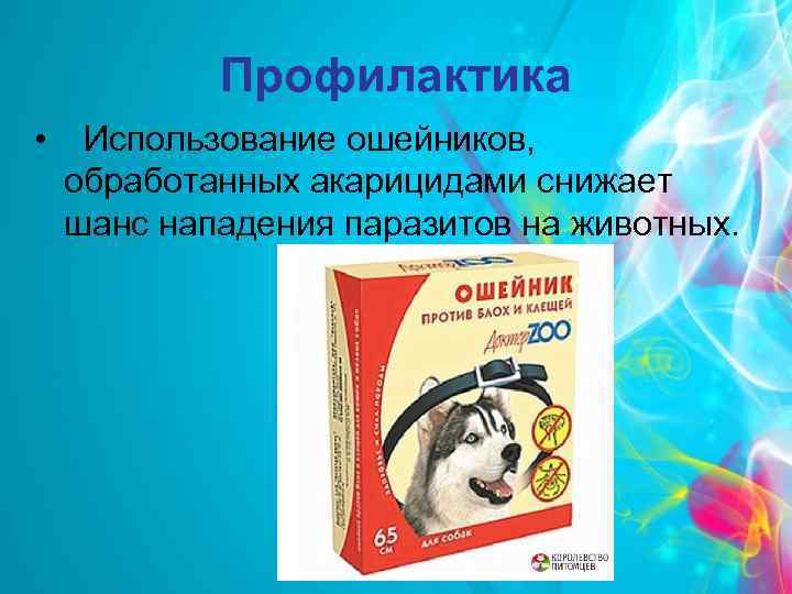 Профилактика • Использование ошейников, обработанных акарицидами снижает шанс нападения паразитов на животных. 