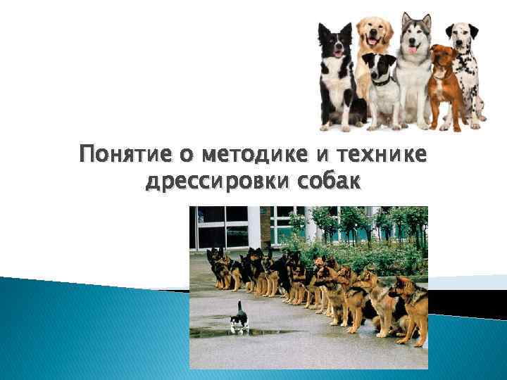 Понятие о методике и технике дрессировки собак 