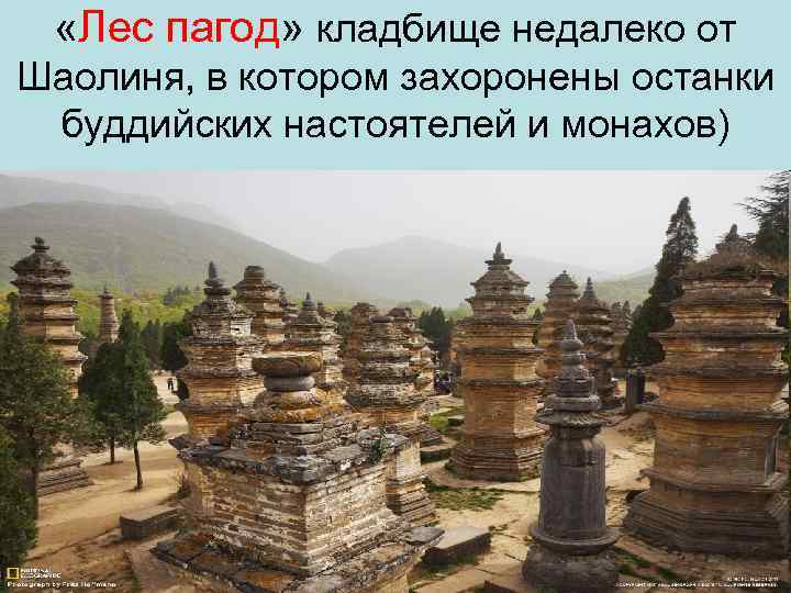  «Лес пагод» кладбище недалеко от Шаолиня, в котором захоронены останки буддийских настоятелей и