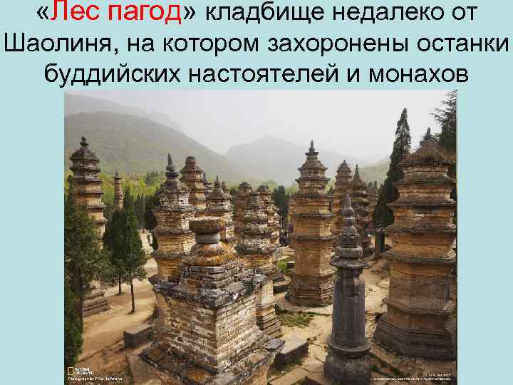  «Лес пагод» кладбище недалеко от Шаолиня, на котором захоронены останки буддийских настоятелей и