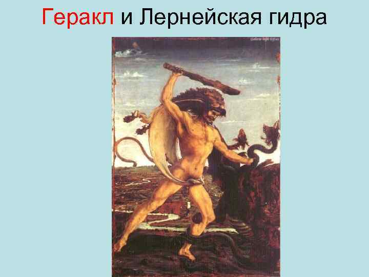 Геракл и Лернейская гидра 