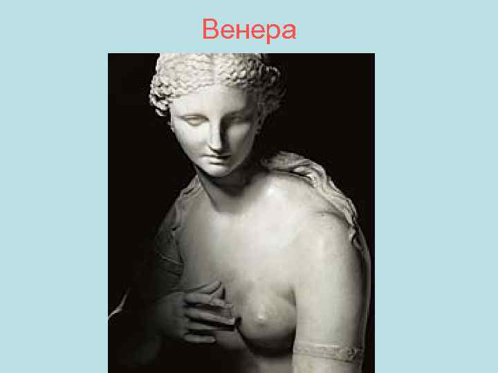 Венера 