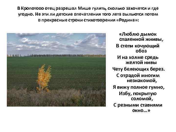 В Кропотово отец разрешал Мише гулять, сколько захочется и где угодно. Не эти ли