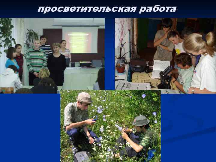 просветительская работа 