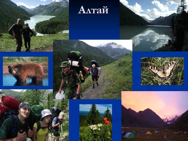 Алтай 