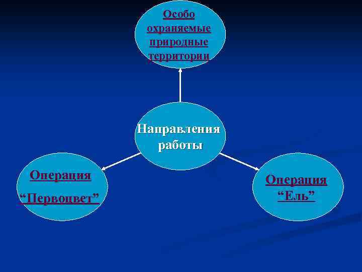 Особо охраняемые природные территории Направления работы Операция “Первоцвет” Операция “Ель” 