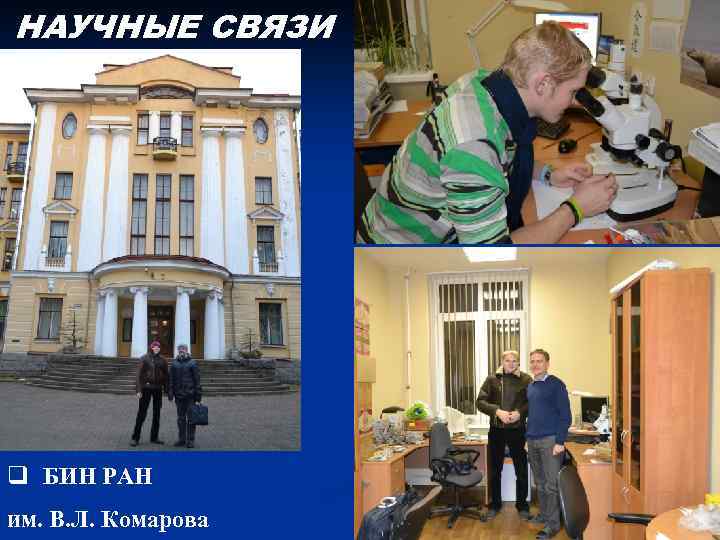 НАУЧНЫЕ СВЯЗИ q БИН РАН им. В. Л. Комарова 