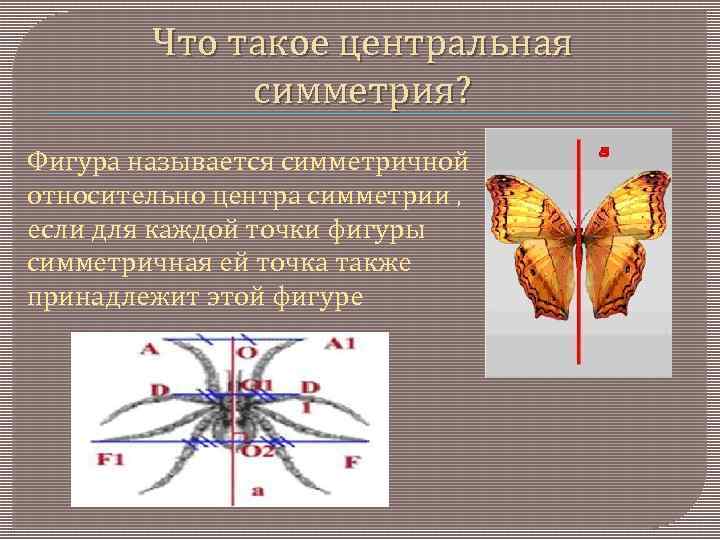 Что такое центральная симметрия? Фигура называется симметричной относительно центра симметрии , если для каждой
