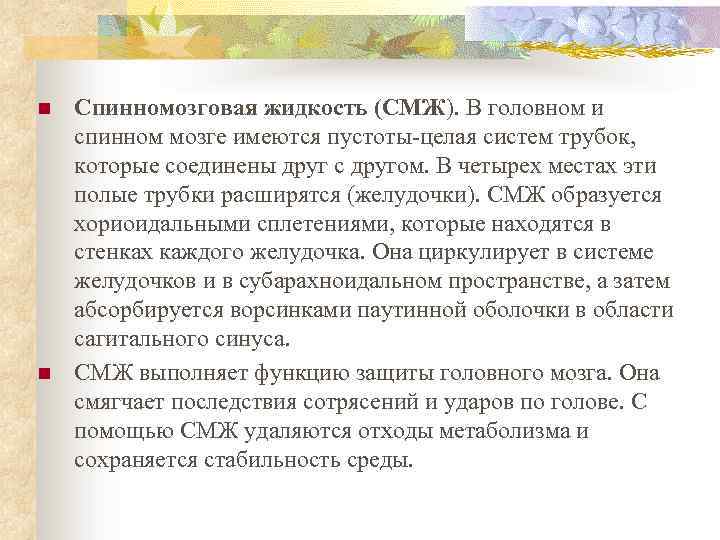 n n Спинномозговая жидкость (СМЖ). В головном и спинном мозге имеются пустоты-целая систем трубок,