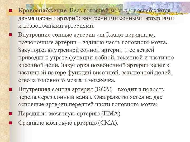 n n n Кровоснабжение. Весь головной мозг кровоснабжается двумя парами артерий: внутренними сонными артериями