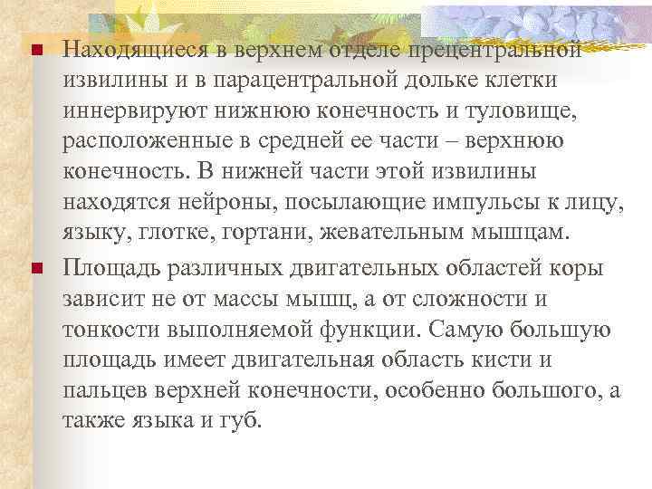 n n Находящиеся в верхнем отделе прецентральной извилины и в парацентральной дольке клетки иннервируют