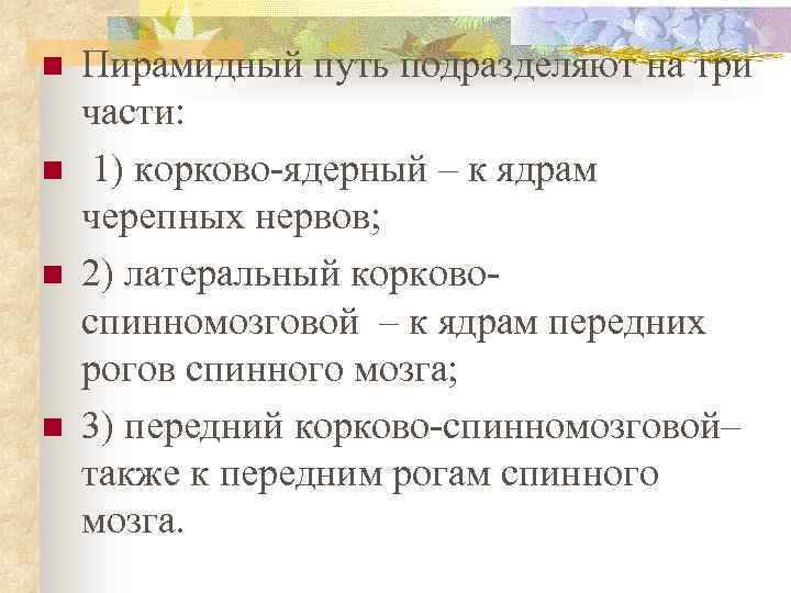 n n Пирамидный путь подразделяют на три части: 1) корково-ядерный – к ядрам черепных