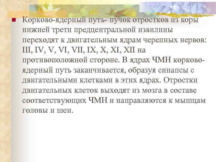 n Корково-ядерный путь- пучок отростков из коры нижней трети предцентральной извилины переходят к двигательным