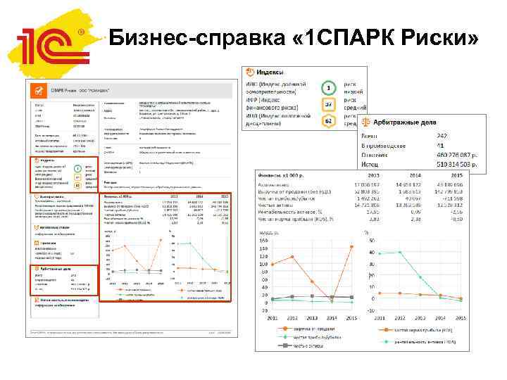 Бизнес-справка « 1 СПАРК Риски» 